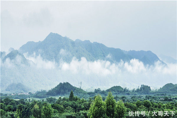中国兴起森林养生热，佛山有一座山是养生圣地