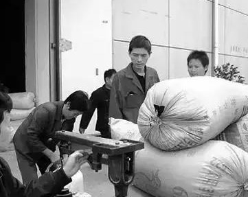 交了30年公粮的农民谁来养老？如今有了答案