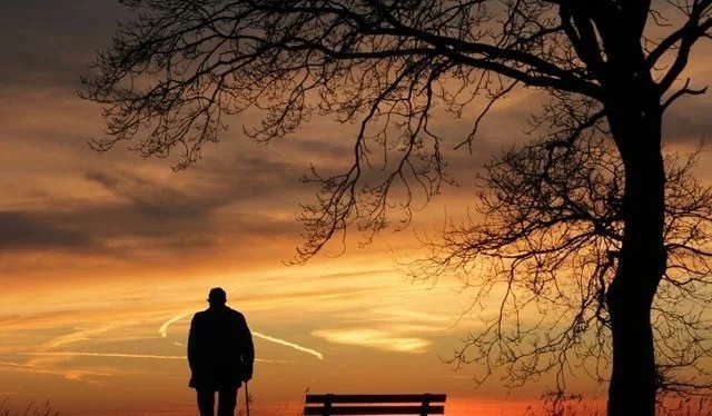 养老的“诱饵”，保命的退休金――亲情与金钱的较量