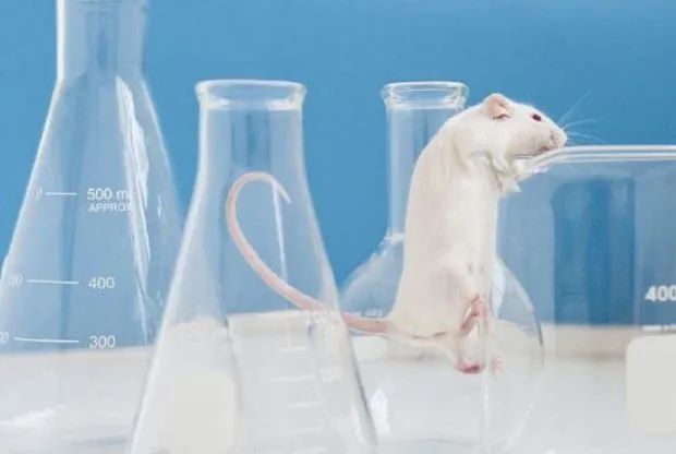 《中国药理学通报》2月19日刊文：天津大学团队重大突破：万代兰核心成份成对抗血管硬化提供新证据